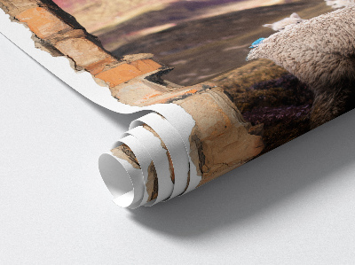 Fototapeta díra ve zdi 66x100 Alpačí hory