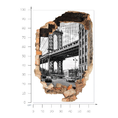 Fototapeta díra ve zdi 66x100 Městská krajina