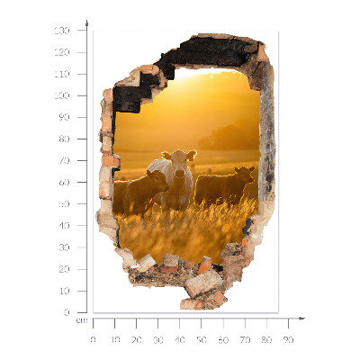 Fototapeta díra ve zdi 86x130 Venkovská krajina