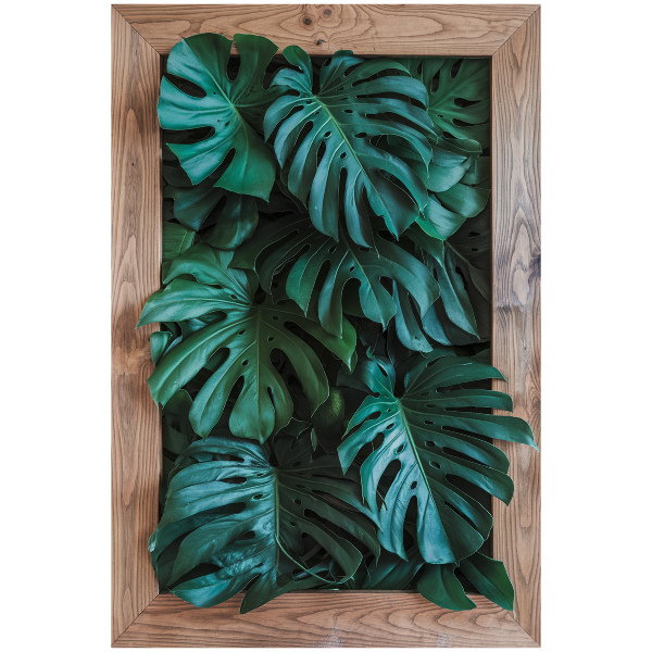 Samolepka na zeď 3D 40x60 Zelené složení