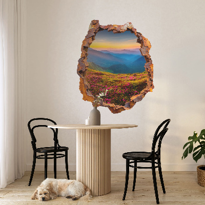 Samolepka díra ve zdi 3D 50x60 Květinové hory