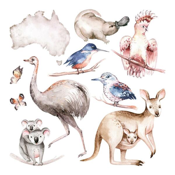 Nálepka na zeď 60x81 Australská fauna v jemných pastelech
