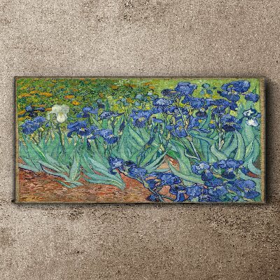 Obraz na plátně Van Gogh Irises