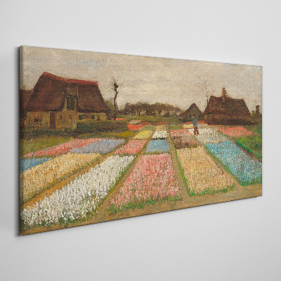 Obraz na plátně Žárovková pole van Gogh