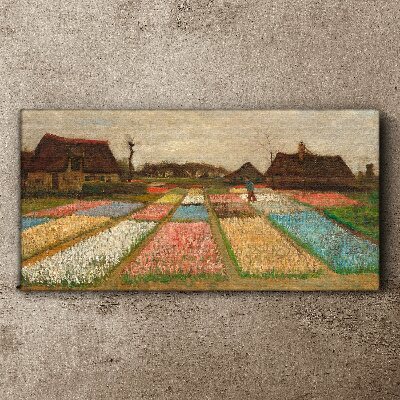 Obraz na plátně Jarní tulipánová pole