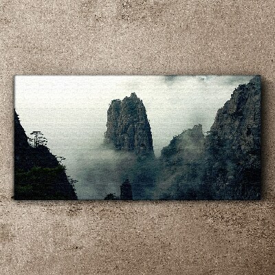 Obraz na plátně Mountain fog mlhou strom mraky