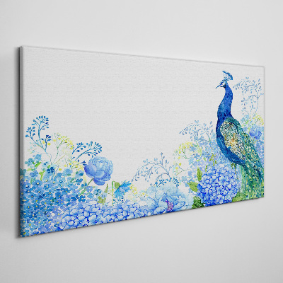 Obraz na plátně Květiny pták Peacock