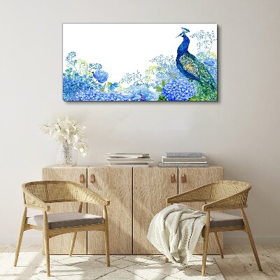 Obraz na plátně Květiny pták Peacock