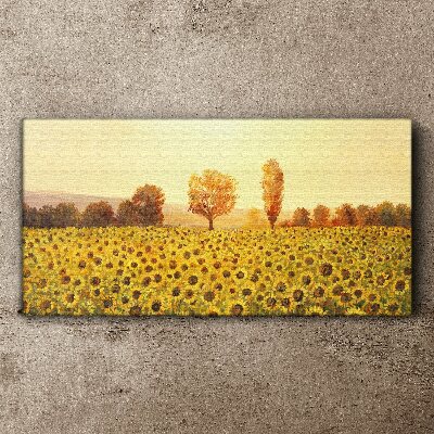 Obraz na plátně Květiny slunečnic stromů