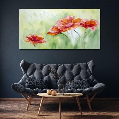 Obraz na plátně Květiny máků