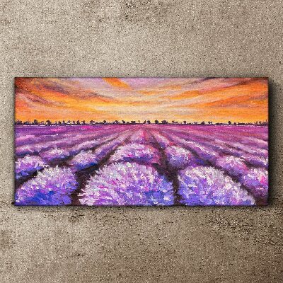 Obraz na plátně Levandulové pole Sunset