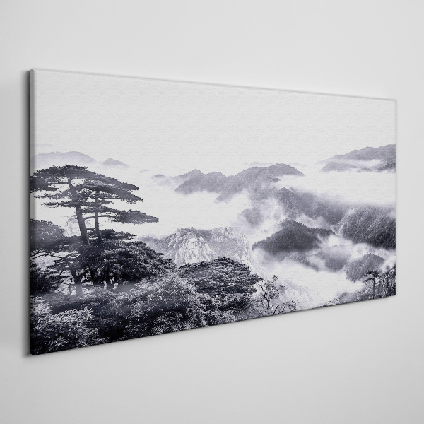 Obraz na plátně Mountain Forest Fog