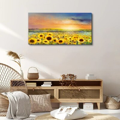 Obraz na plátně Květiny pole slunečnic