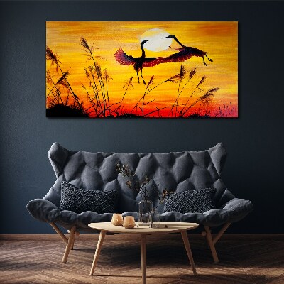 Obraz na plátně Zvířata Birds Sunset