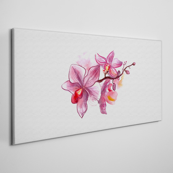 Obraz na plátně Růžové orchideje na bílém pozadí