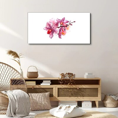 Obraz na plátně Růžové orchideje na bílém pozadí
