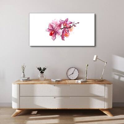 Obraz na plátně Růžové orchideje na bílém pozadí