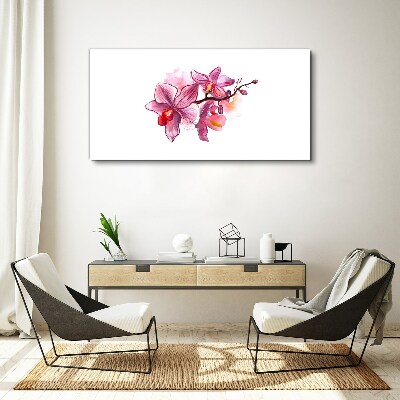 Obraz na plátně Růžové orchideje na bílém pozadí
