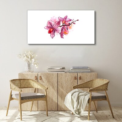Obraz na plátně Růžové orchideje na bílém pozadí