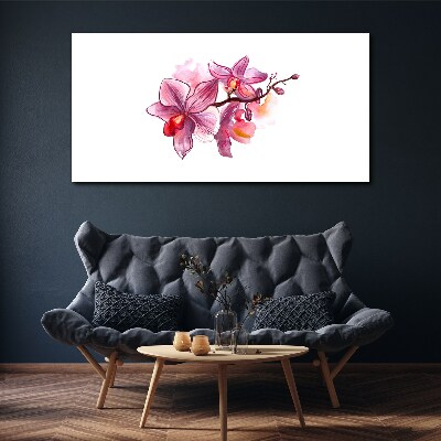Obraz na plátně Růžové orchideje na bílém pozadí