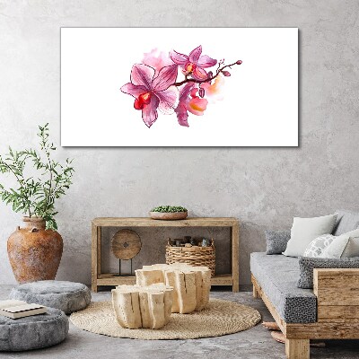 Obraz na plátně Růžové orchideje na bílém pozadí