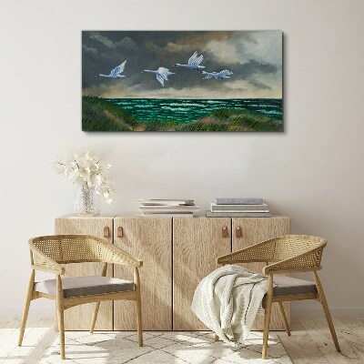 Obraz na plátně Sea Sky Birds labutě