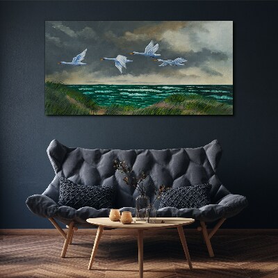 Obraz na plátně Sea Sky Birds labutě
