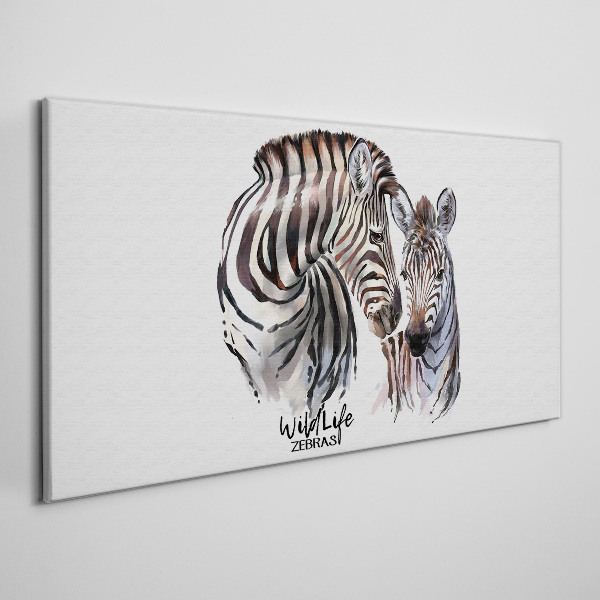 Obraz na plátně Zebra ve volné přírodě