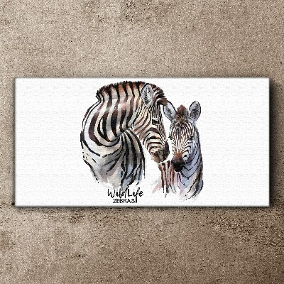 Obraz na plátně Zebra ve volné přírodě