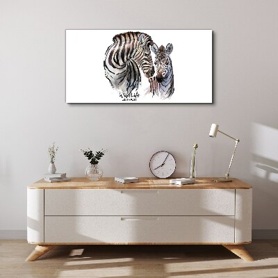 Obraz na plátně Zebra ve volné přírodě