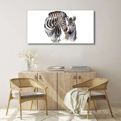 Obraz na plátně Zebra ve volné přírodě
