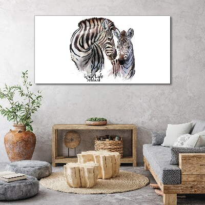 Obraz na plátně Zebra ve volné přírodě