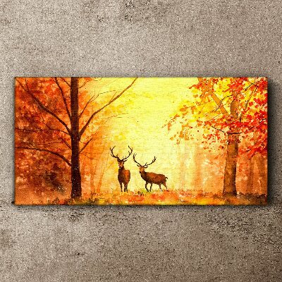 Obraz na plátně Podzimní lesní jelen
