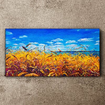 Obraz na plátně Louka pšeničná obloha