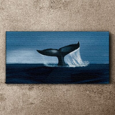 Obraz na plátně Velryba zvířat moře