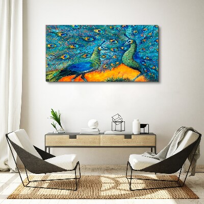 Obraz na plátně Zvířata ptáci Peacock