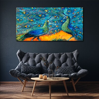 Obraz na plátně Zvířata ptáci Peacock