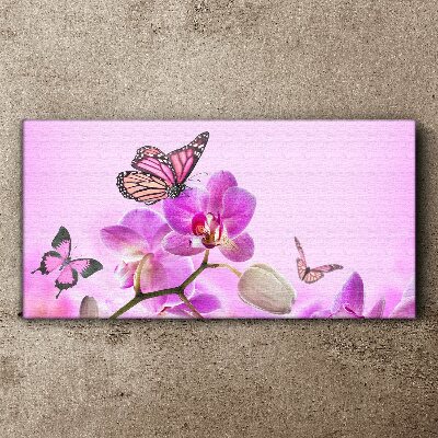Obraz na plátně Květiny přírody motýl