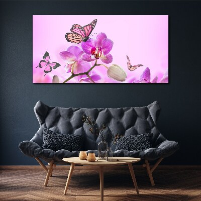 Obraz na plátně Květiny přírody motýl