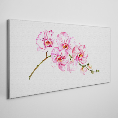 Obraz na plátně Růžové orchideje na bílém pozadí