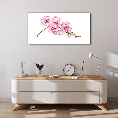 Obraz na plátně Růžové orchideje na bílém pozadí
