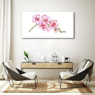 Obraz na plátně Růžové orchideje na bílém pozadí