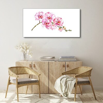 Obraz na plátně Růžové orchideje na bílém pozadí