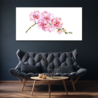 Obraz na plátně Růžové orchideje na bílém pozadí
