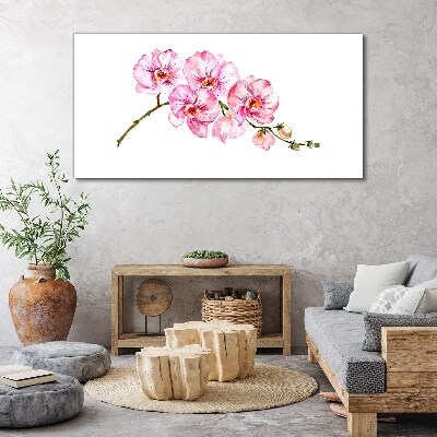Obraz na plátně Růžové orchideje na bílém pozadí