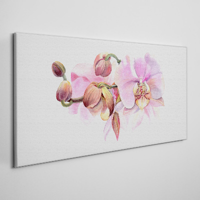 Obraz na plátně Orchidej v pastelových odstínech