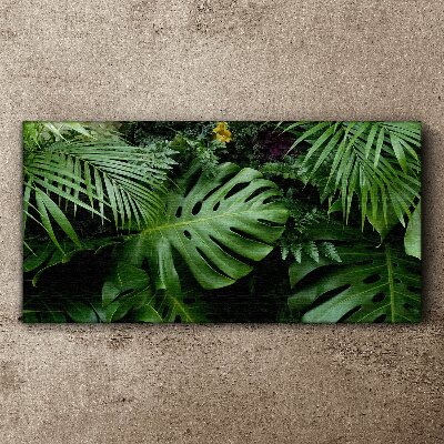 Obraz na plátně Tropické džungle listy