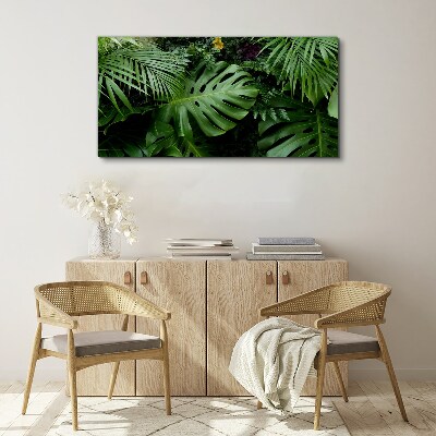 Obraz na plátně Tropické džungle listy