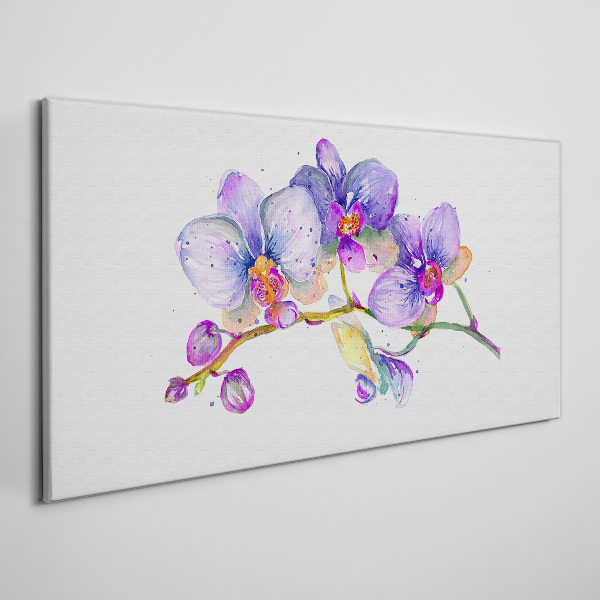 Obraz na plátně Květinová krása orchidejí