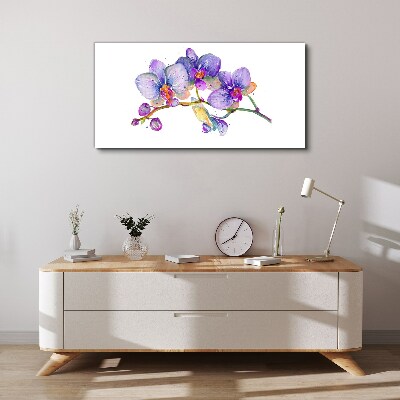 Obraz na plátně Květinová krása orchidejí
